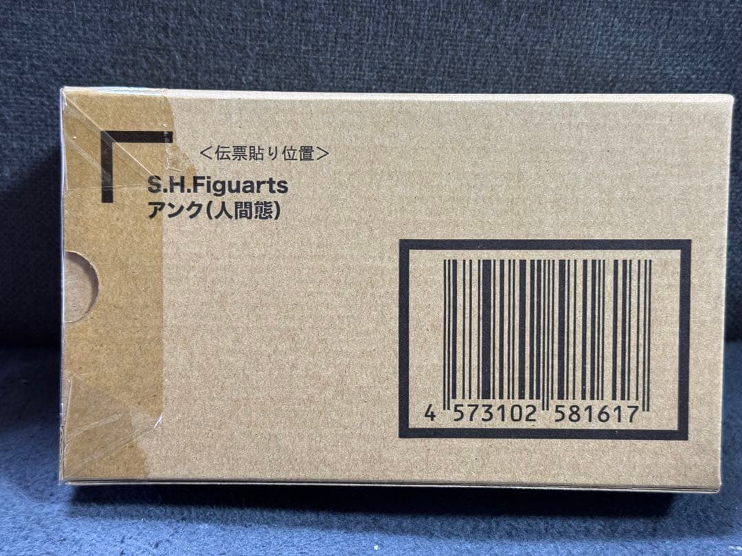 魂ウェブ商店限定 S.H.Figuarts(フィギュアーツ) アンク 人間態