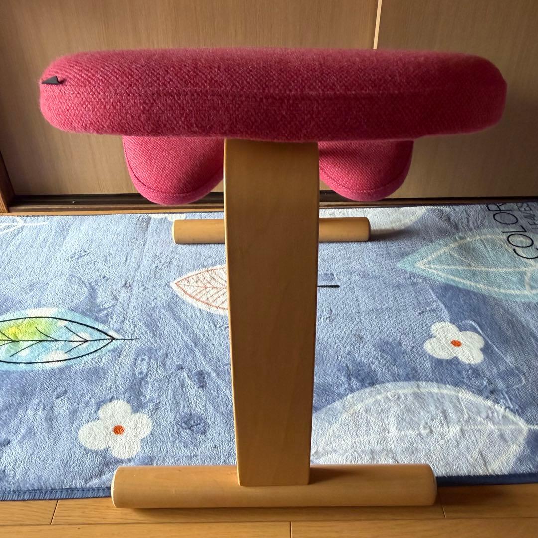 Rybo リボ バランスイージー バランスチェア 通常フレーム カバー付き