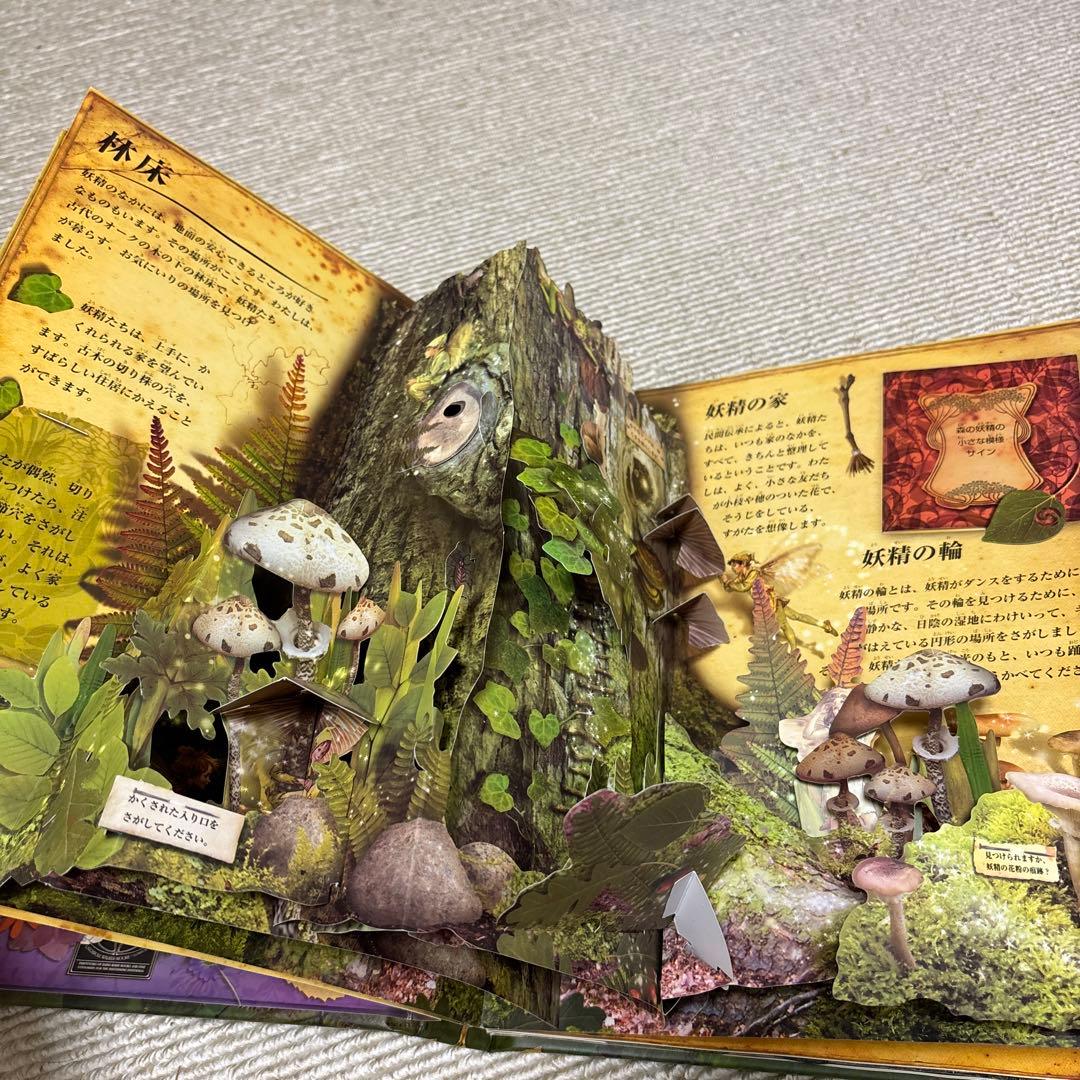 仕掛け絵本 フラワー・フェアリーズ - メルカリ