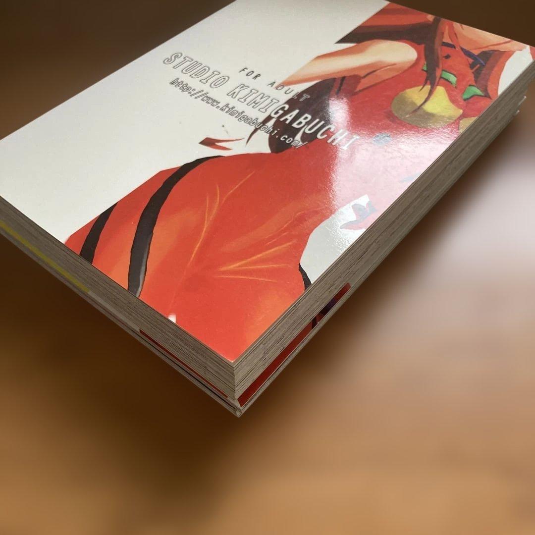 エヴァンゲリオン同人誌 RE TAKE 通常版6冊セットKIMIGABUCHI