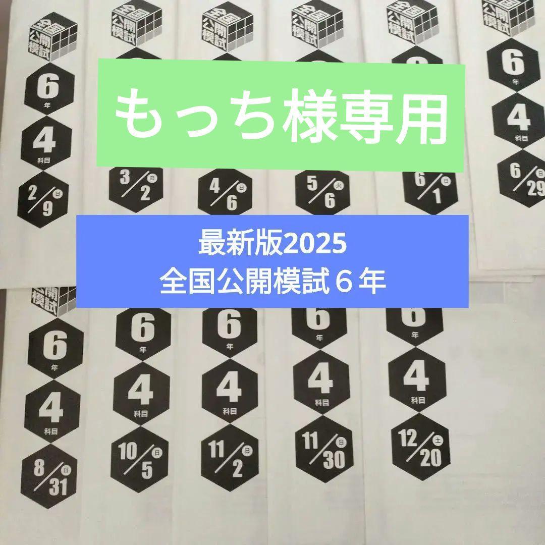 2025年　日能研　全国公開模試６年１１回分(１年分)➕️春期夏期テスト➕️前期 2025年 日能研 全国公開模試6年11回分(1年分)➕️春期夏期テスト