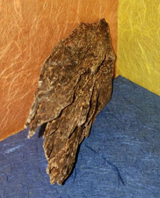 沈香、伽羅、六国五味、聞香、香木「ベトナム・フエ産 特上14,1」15の