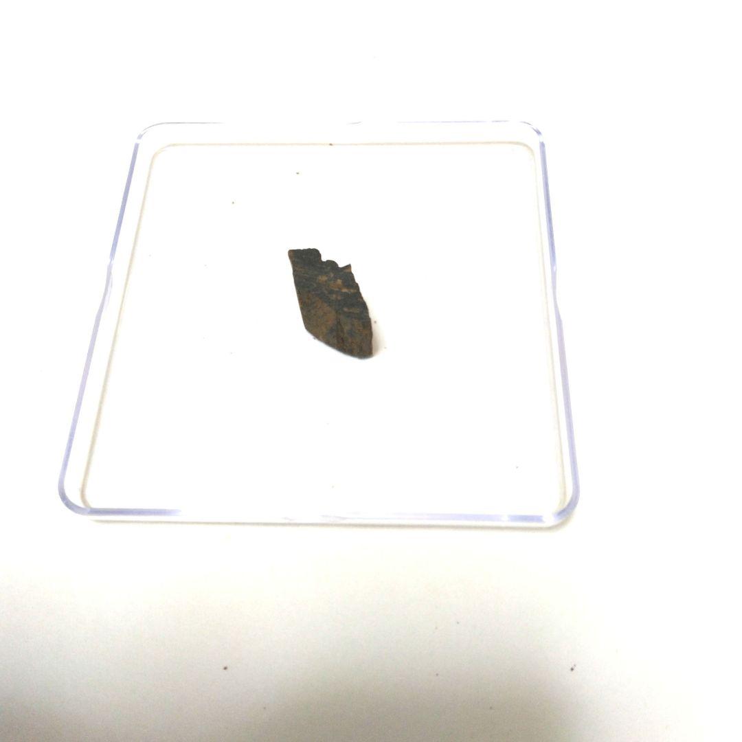 最高級タニ沈香 木 2.83g