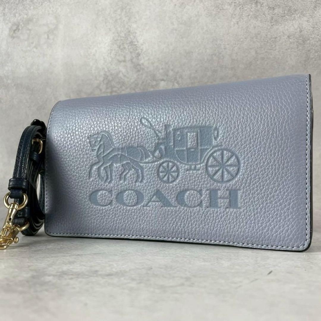 ✨稀少✨極美品✨コーチ アンナ ショルダーバッグ ウォレット 2way