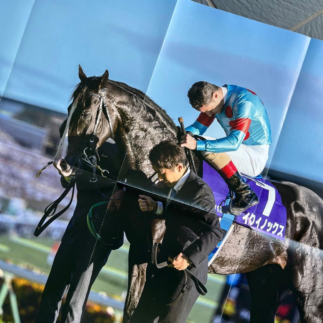 イクイノックス 両面ポスター 優駿 付録 名馬の肖像 天皇賞（秋