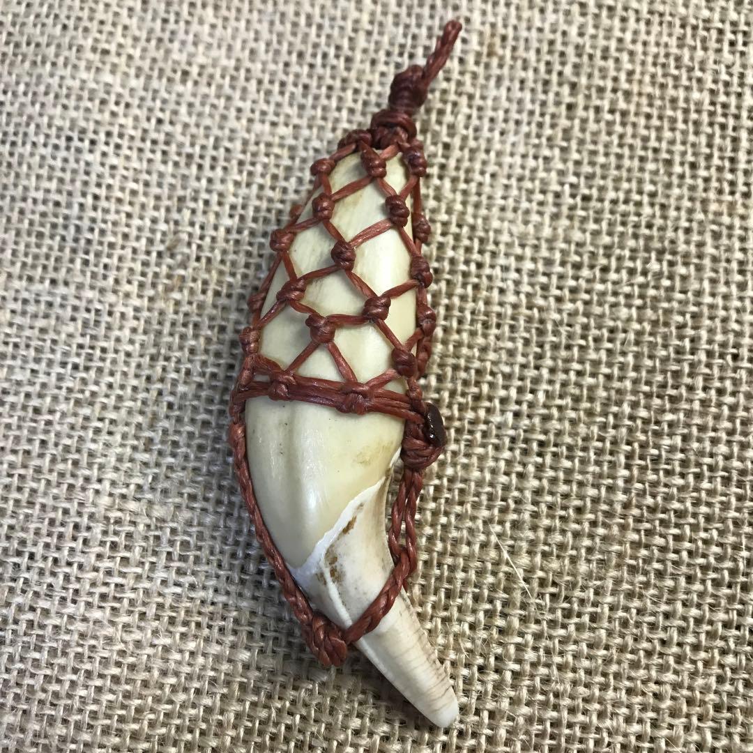 熊の牙 マクラメ ペンダントトップ インディアンジュエリー