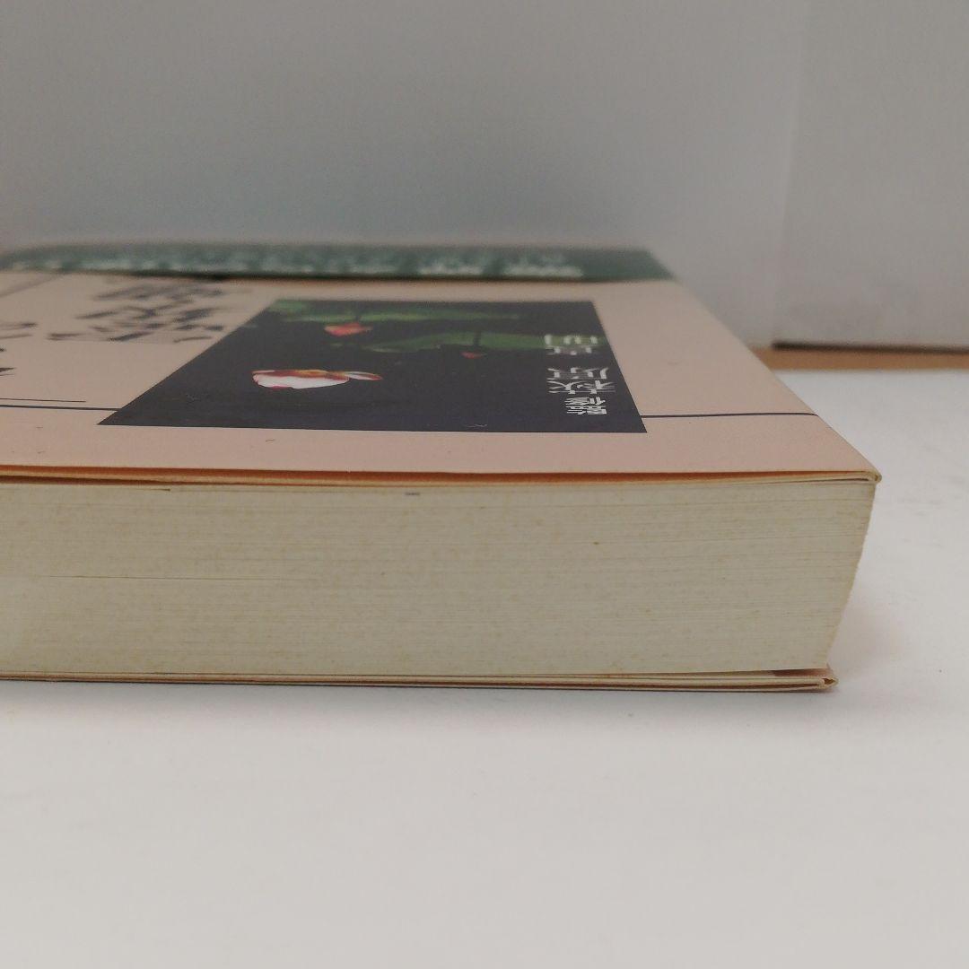 梶さんの霊界通信―まことの道を求めて〈2〉