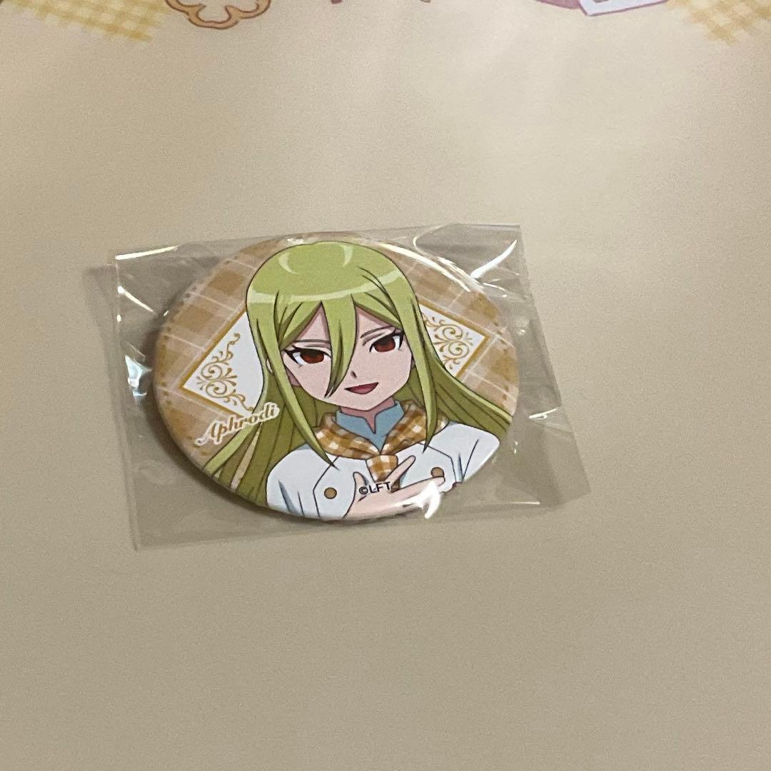 イナズマイレブン イナイレ スイパラ 缶バッジ 亜風炉照美 - メルカリ