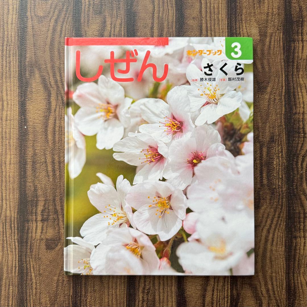 キンダーブックしぜん さくら 春の花 - メルカリ