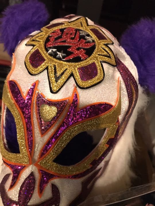 スター★逸女イオ実着サイン入り。希少