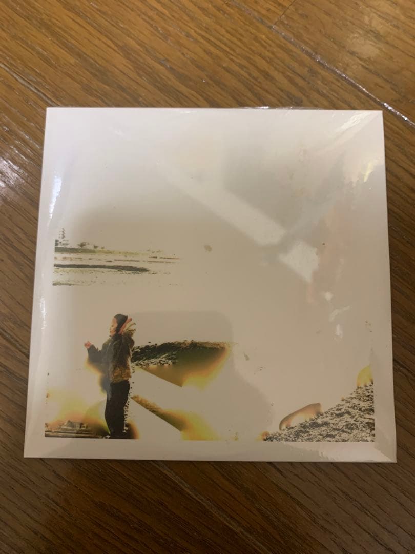 Naoto Taguchi green assassin dollar 舐達麻 - メルカリ