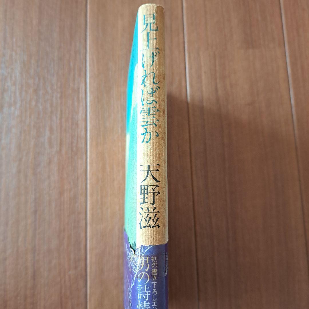 見上げれば雲か 天野滋 NSP - メルカリ