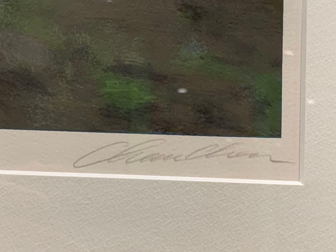 Chase Chen (チェイス・チェン) 直筆サイン入り 絵画‼️ - メルカリ