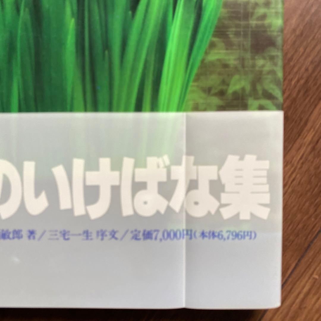 Inspired Flower Arrangements 川瀬敏郎のいけばな集 - メルカリ