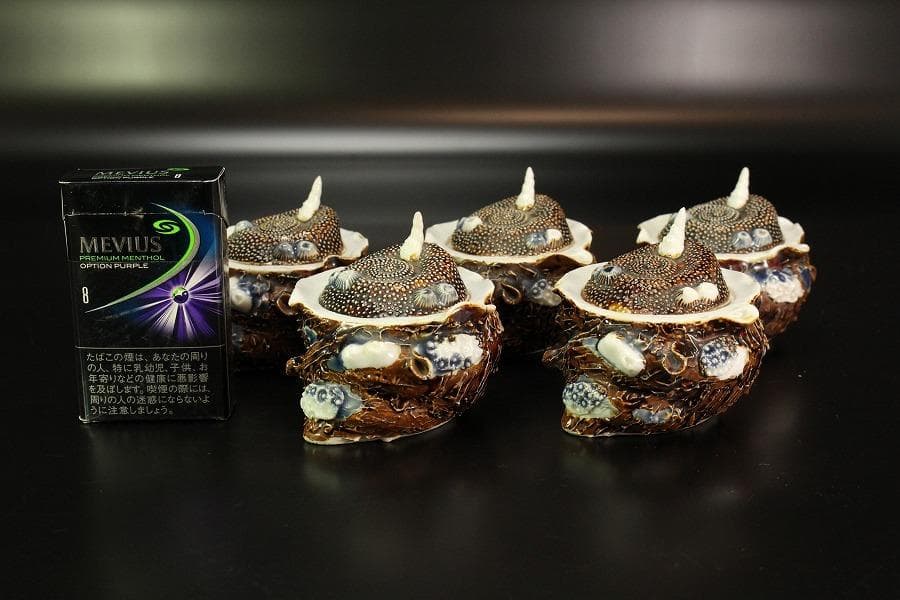 古平戸 名品 栄螺 蓋物 五件 京都料亭 蔵出 - メルカリ