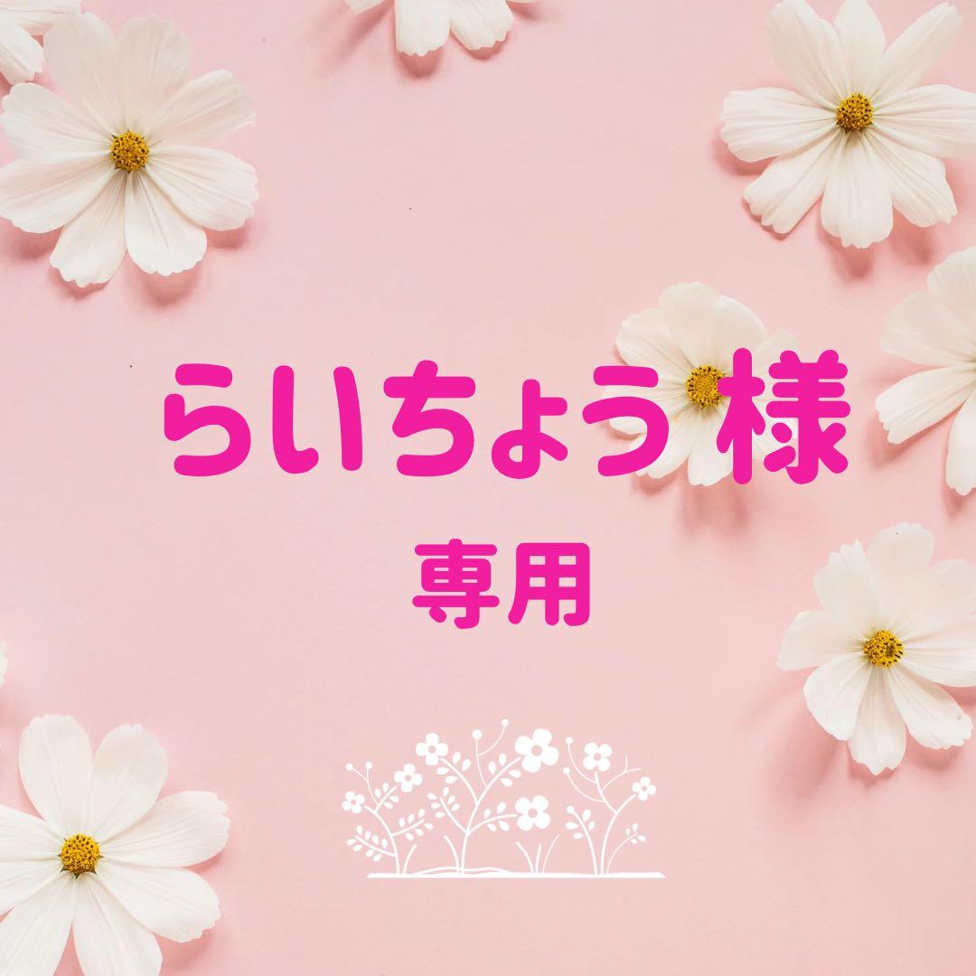 らいちょう　カクタスパーチ　3本セット HACHI KAKU CACTUS - 聖新陶芸株式会社｜栽培キットの企画・製造・販売