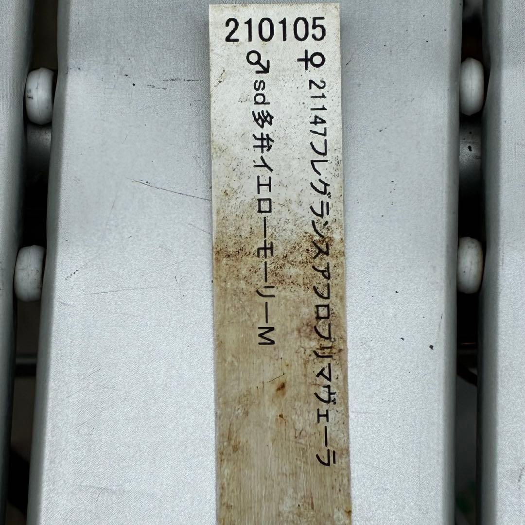 a*a様 3545☘️蕾花タグ付☘️超特殊☘️唯一無二☘️芳香⭐️小輪⭐️超キレ