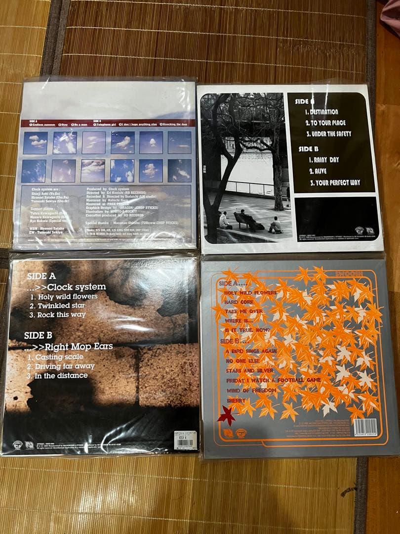 インディーズ レコード THE BOLD インディーズ レコード COCONUTS DISK