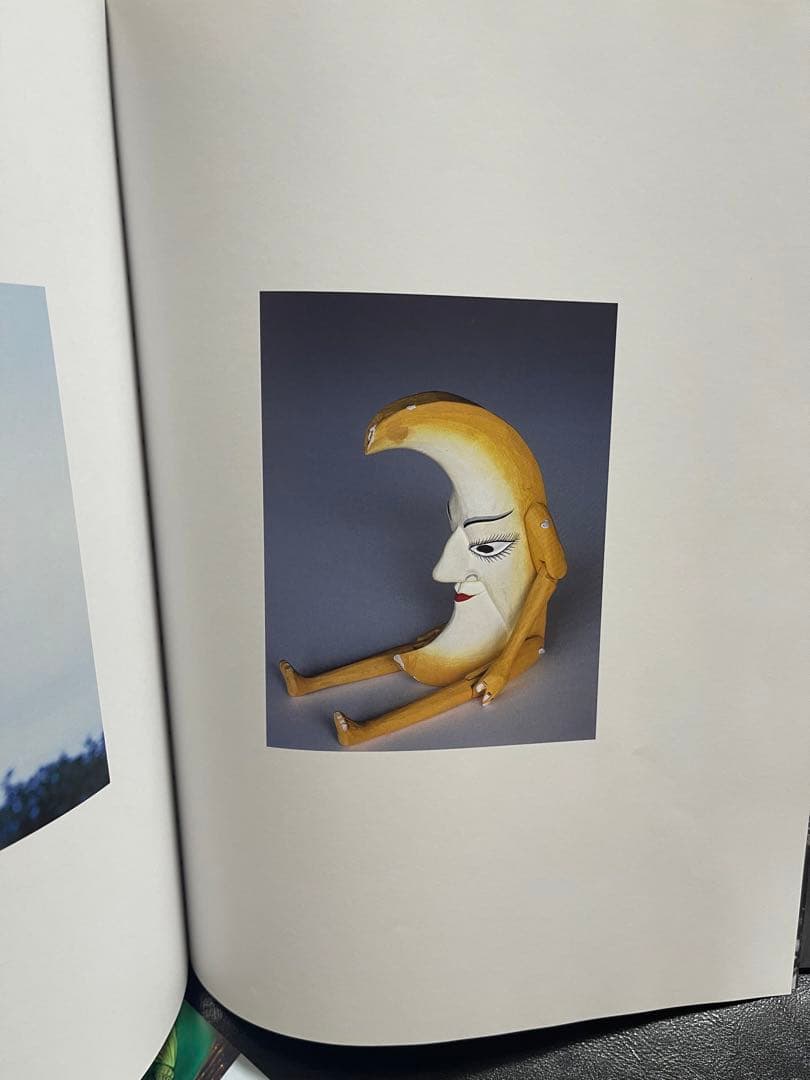 Araki Nobuyoshi Stern Fotografie 荒木経惟 - メルカリ