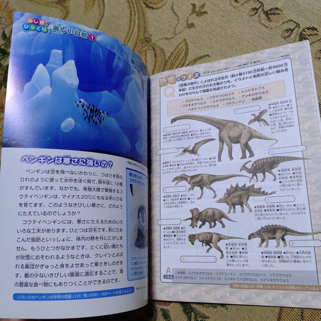 ジャポニカ学習帳 パンダ 上野動物園 アドベンチャーワールド ノート