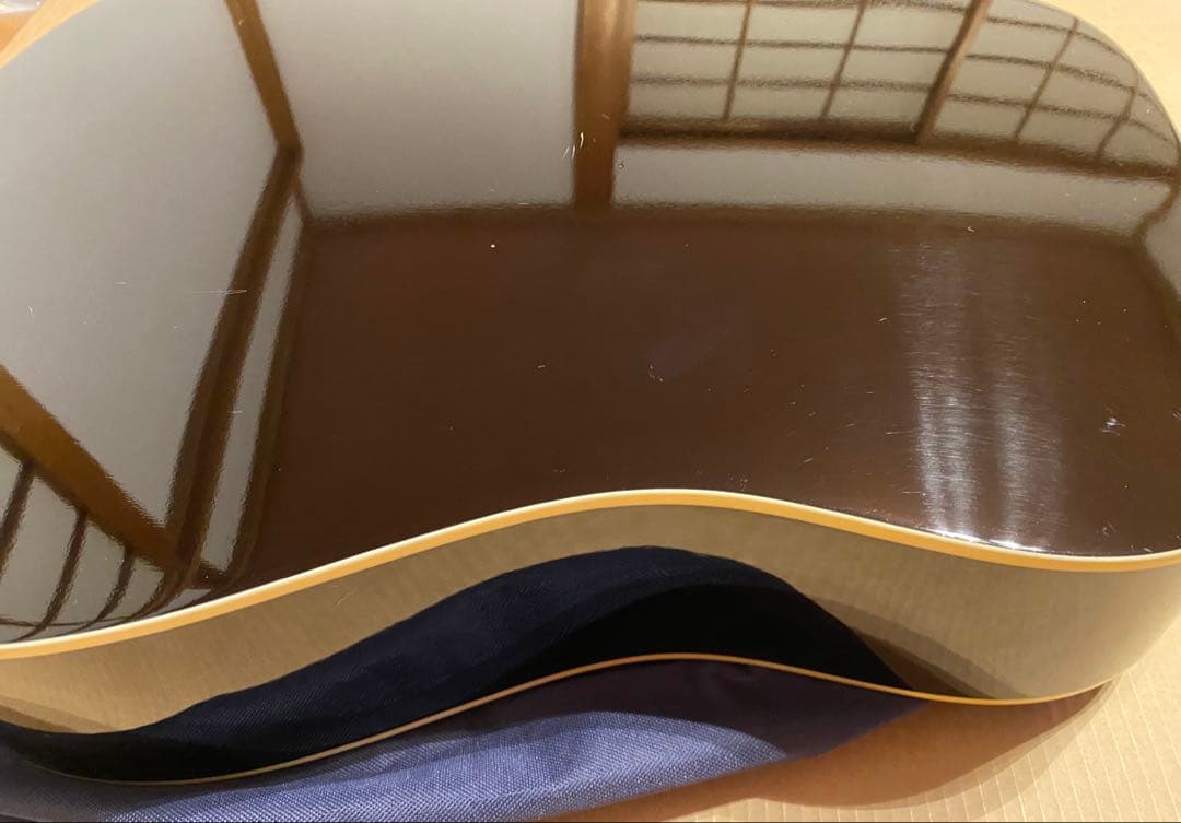 Epiphone DR-100 EB エボニー 純正ケース付 Epiphone DR-100 EB