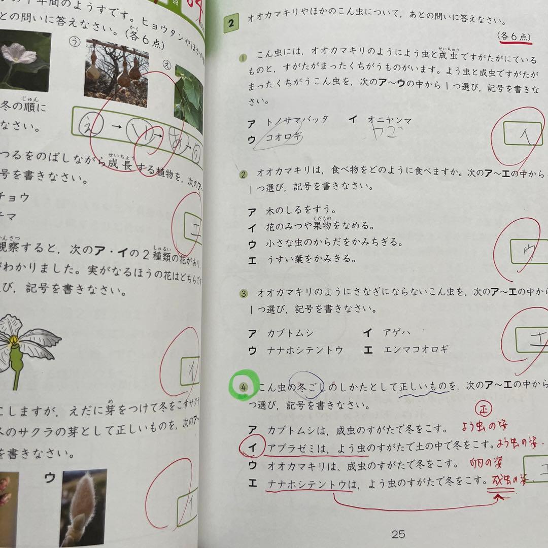 Z会グレードアップ問題集 全科テスト 小学4年 - メルカリ