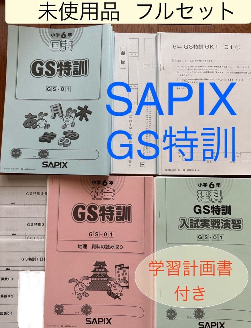 サピックス6年 GS特訓(GW講習) 未使用テキスト 4教科フルセット - メルカリ