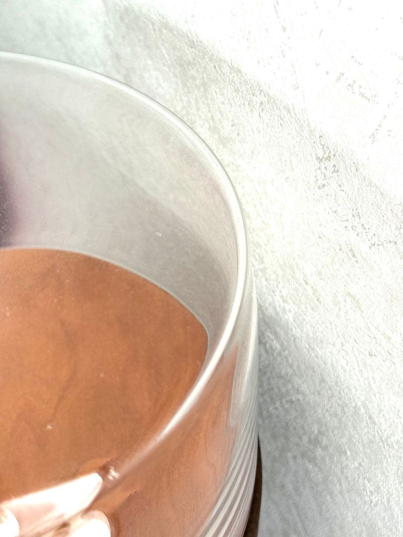 蠣崎マコト ケーキドーム大サイズ 未使用品