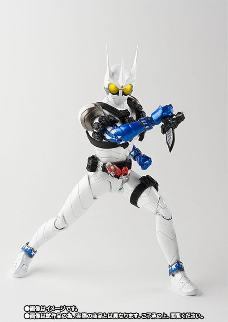 S.H.Figuarts（真骨彫製法） 仮面ライダーエターナル