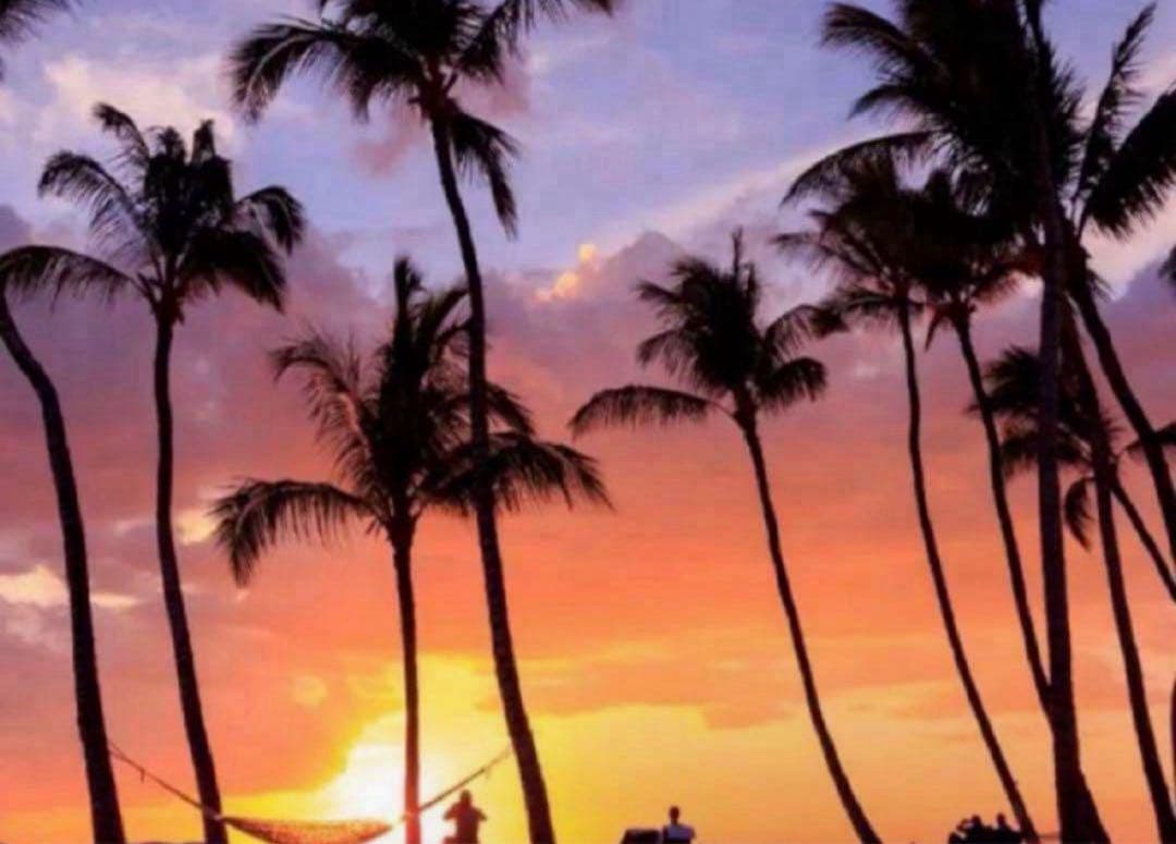 にゃん item_0000005455_69X0BO0q2b1g_0