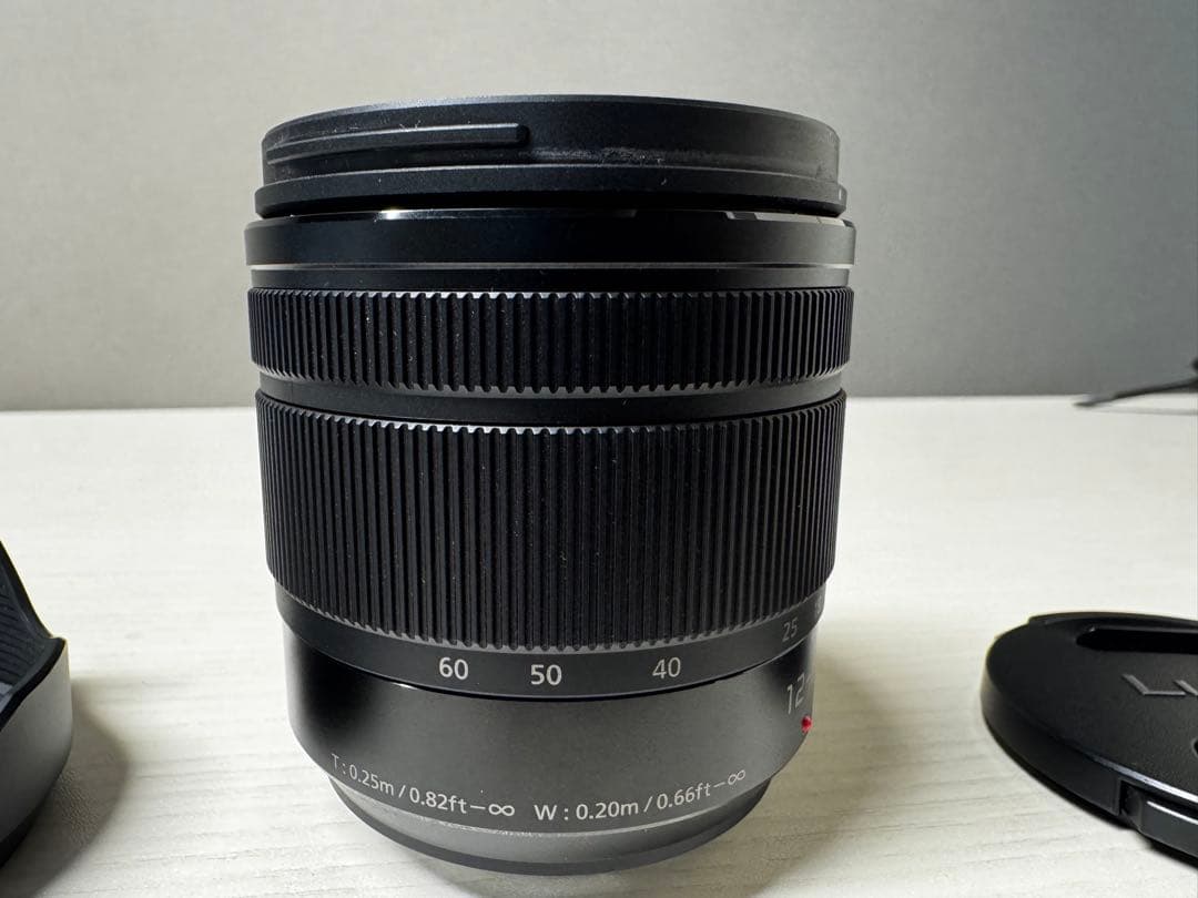 G VARIO 12-60mm f/3.5-5.6 ASPH.パナソニック