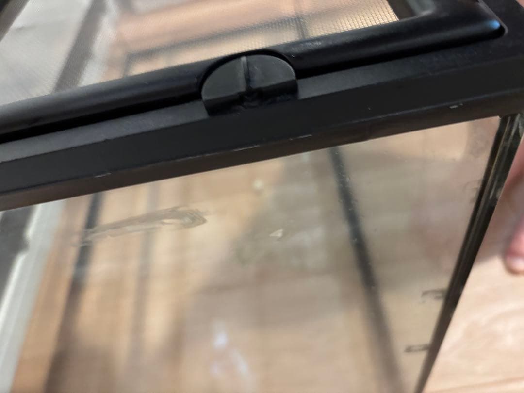 エキゾテラ グラステラリウム9045 おまけもあります