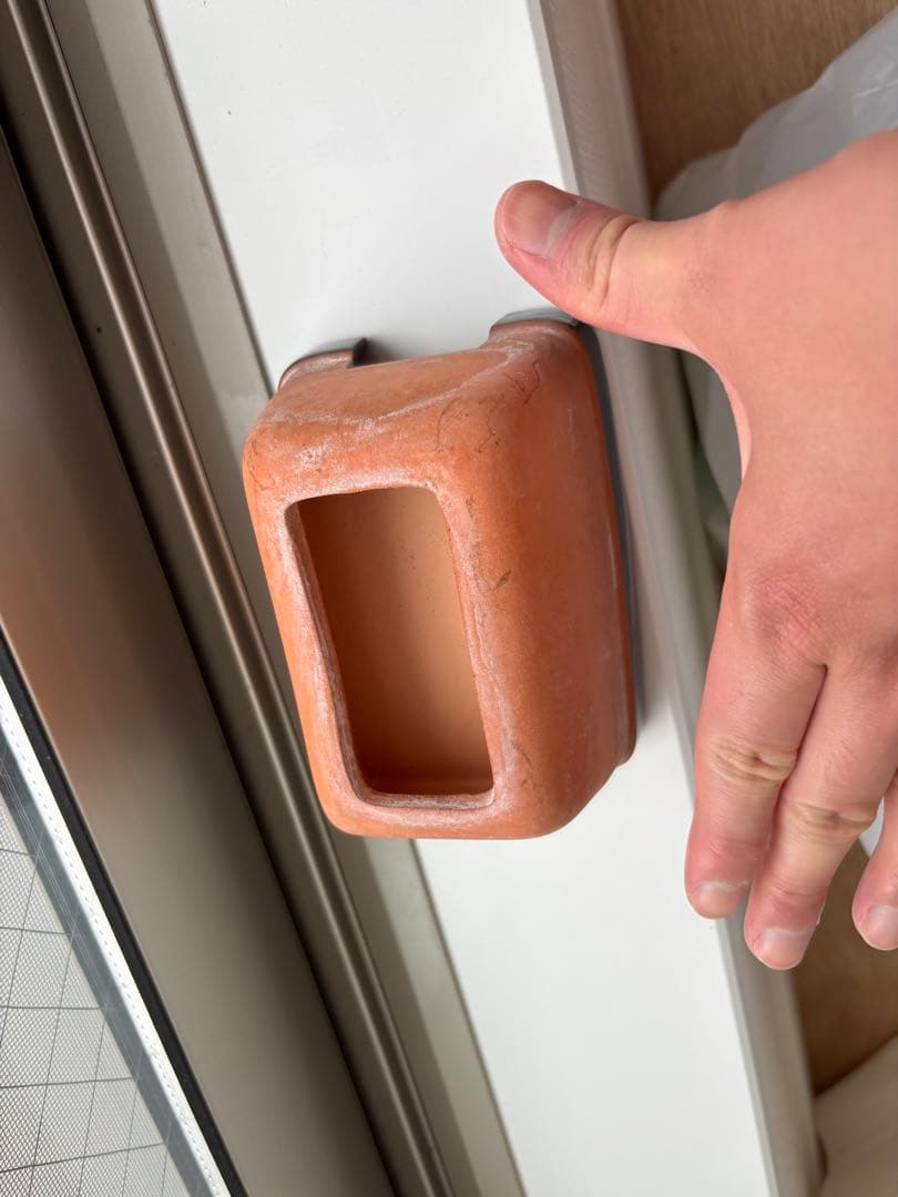 エキゾテラ グラステラリウム9045 おまけもあります