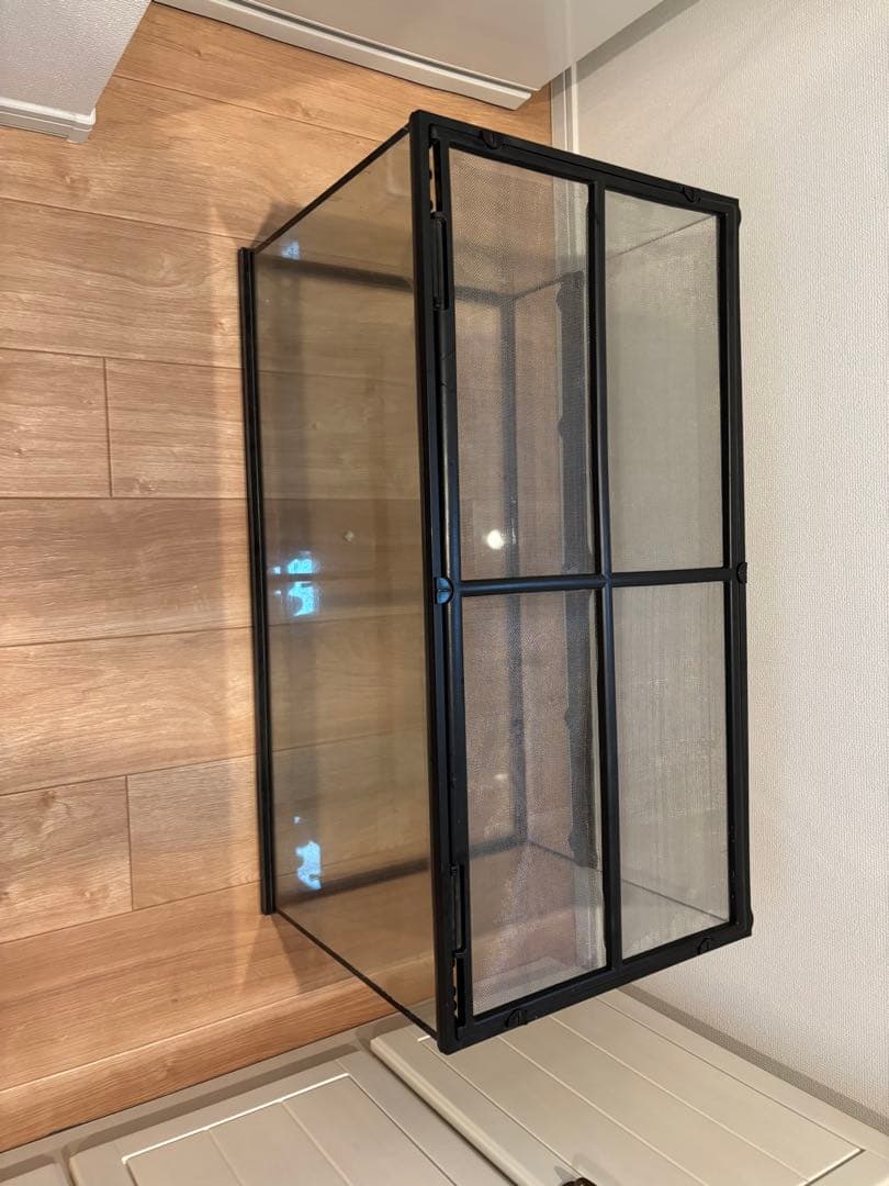 エキゾテラ　グラステラリウム9045 おまけもあります エキゾテラ グラステラリウム9045 おまけもあります