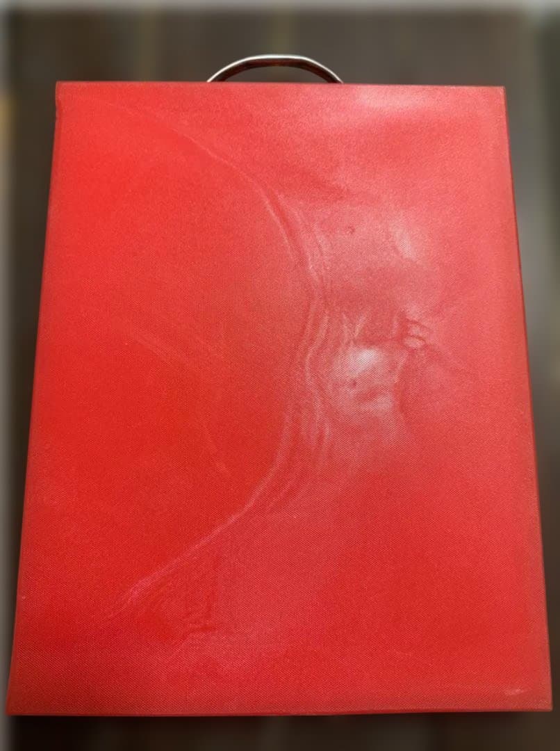 《茜六ツさん用》業務用　四角形　まな板4色4枚（白・赤・緑・青）