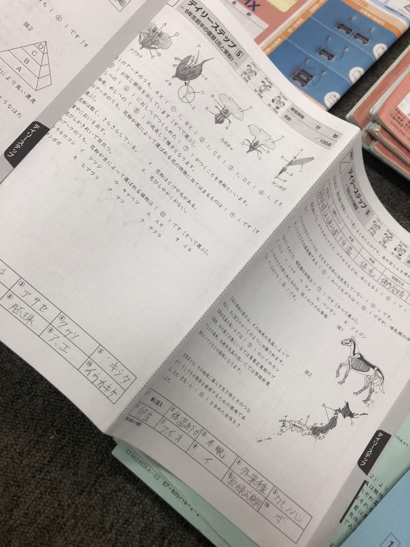 サピックス 6年理科 開成対策/α2 デイリー/春夏/土特 /日特/入試実戦