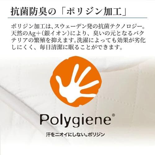 【新品】昭和西川 ウォッシャブル2枚合わせ掛け布団《SNフレッシュプロ》ダブル