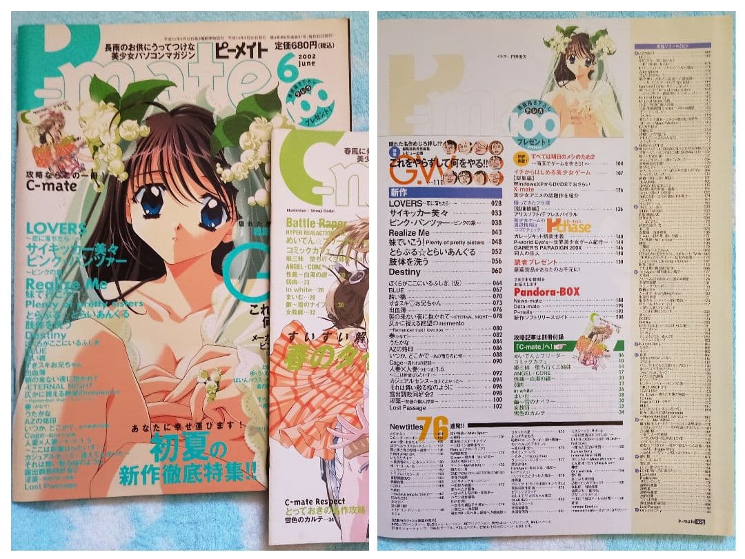 ピーメイト　2002年1月号〜12月号セット