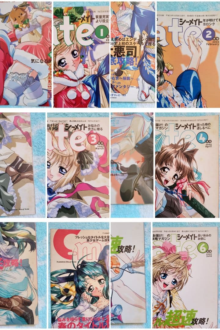 ピーメイト　2002年1月号〜12月号セット