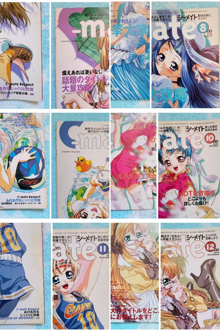 ピーメイト　2002年1月号〜12月号セット