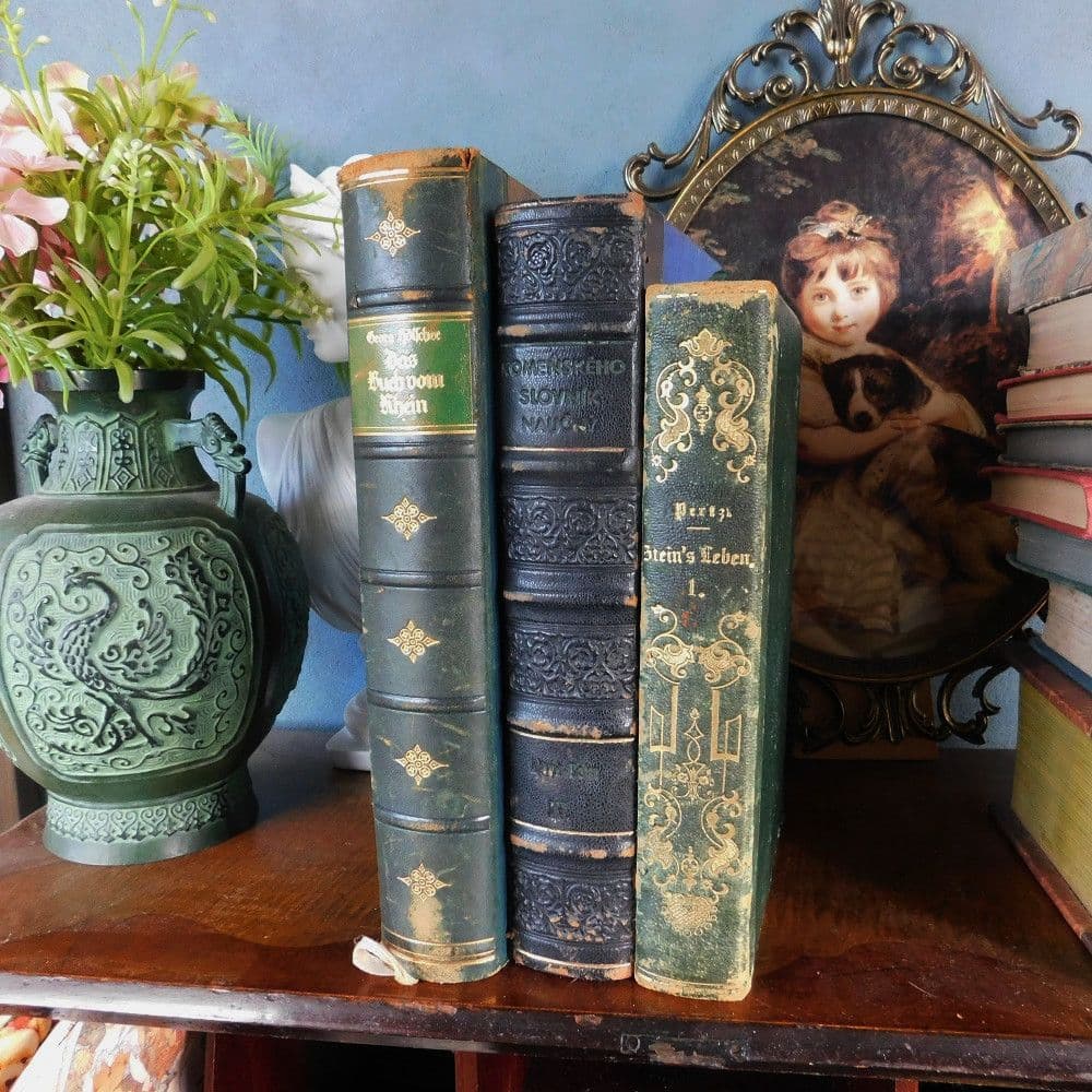 3冊セット.:*゜背表紙が素敵なドイツとチェコの古書　19－20世紀　まとめ売り Amazon.co.jp: +:。.。1887年 背表紙が素敵なドイツの古書