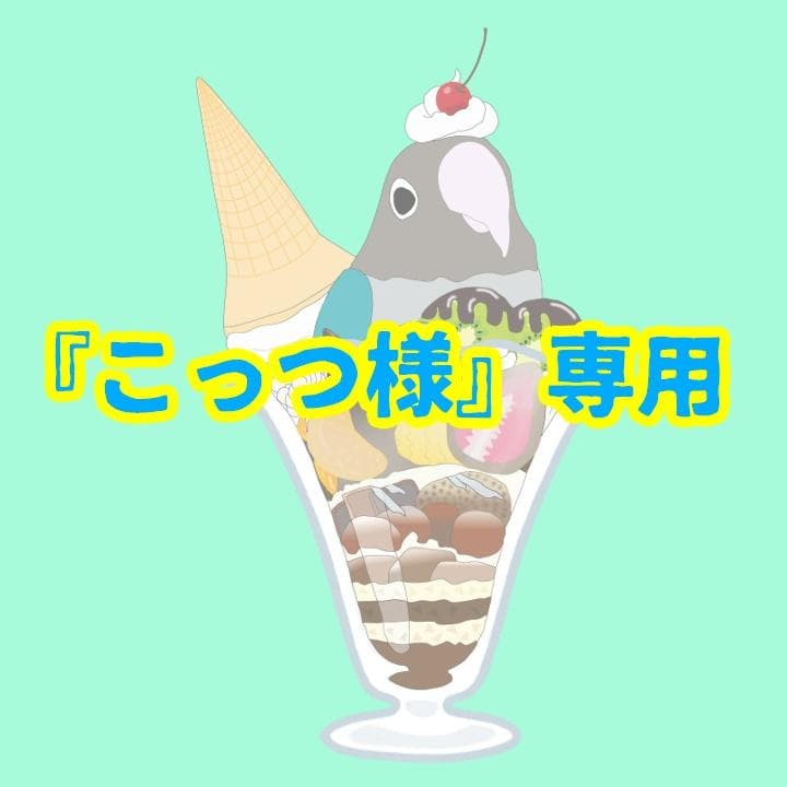 鳥専用自動給餌器（小粒用） Amazon.co.jp: オウム自動フィーダー 鳥 自動給餌器 餌入れ 給餌機
