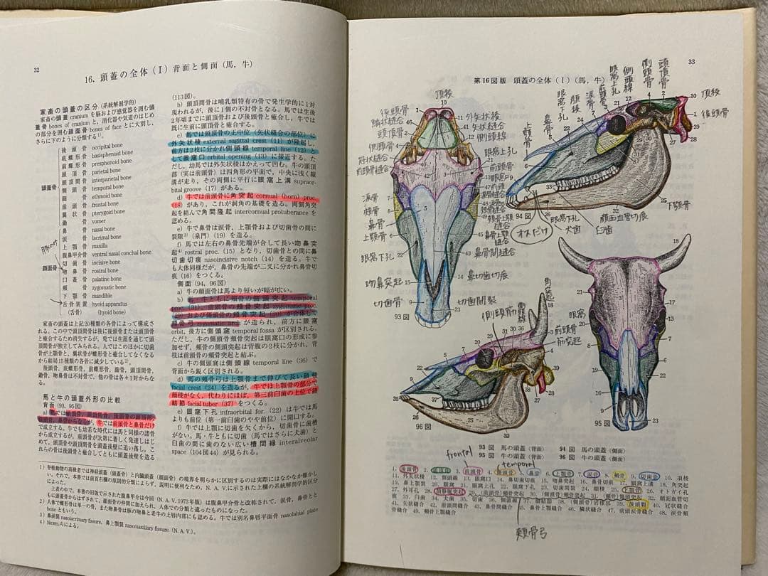 新編 家畜比較解剖図説 上巻・下巻 (下巻のみ裁断済み) - メルカリ