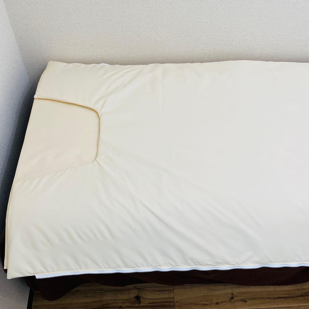 最終お値下げ！】パルティールシュアラインα 遠赤外線マット