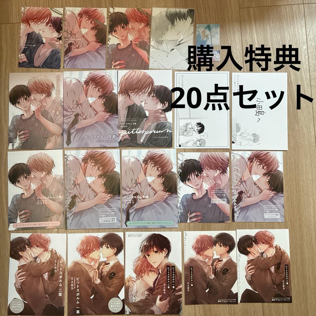 ピットスポルム　特典20点　小冊子　リーフレット　イラストカード　クリアカード ピットスポルム 特典20点 小冊子 リーフレット イラストカード クリア