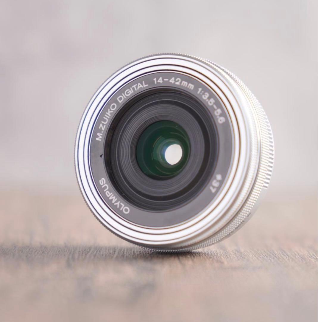 m様専用 ショット数517回 美品 OLYMPUS PEN E-PL10