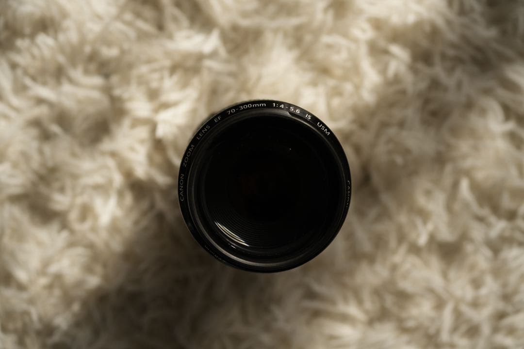 【値引き可能】Canon EF 70-300mm f/4-5.6 IS USM