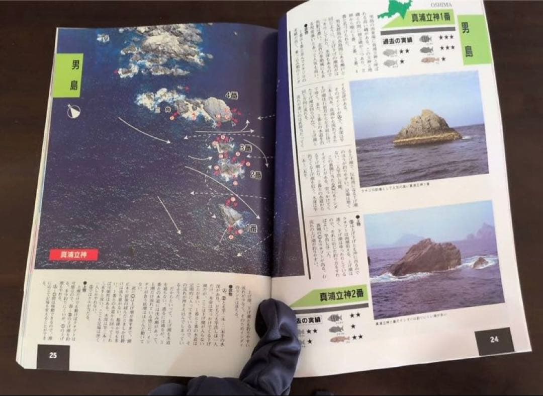 ［新品・未使用］ ザ・男女群島　完全活用マニュアル　ライトハウス出版