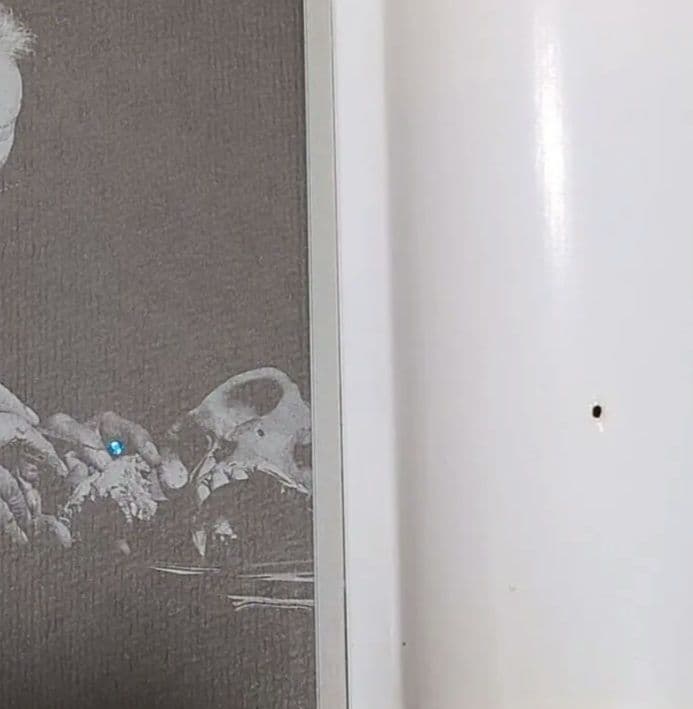 本「人類の起源」エルベール・トマ著 ビーズか宝石の粒が付く改造装丁