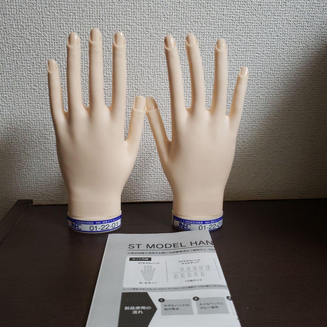 JNEC認定モデルハンド 両手 ネイリスト STモデルハンド /両手セット（JNEC 第1期認定モデルハンド